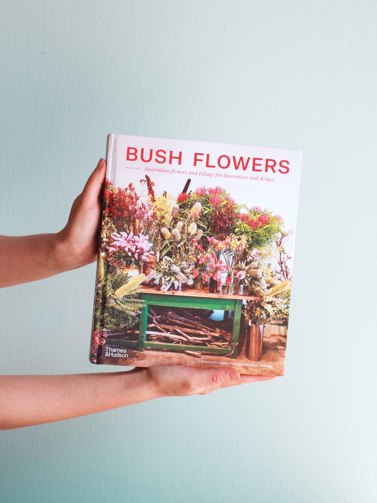 BUSH FLOWERS | Australian flowers and foliage for decoration and design