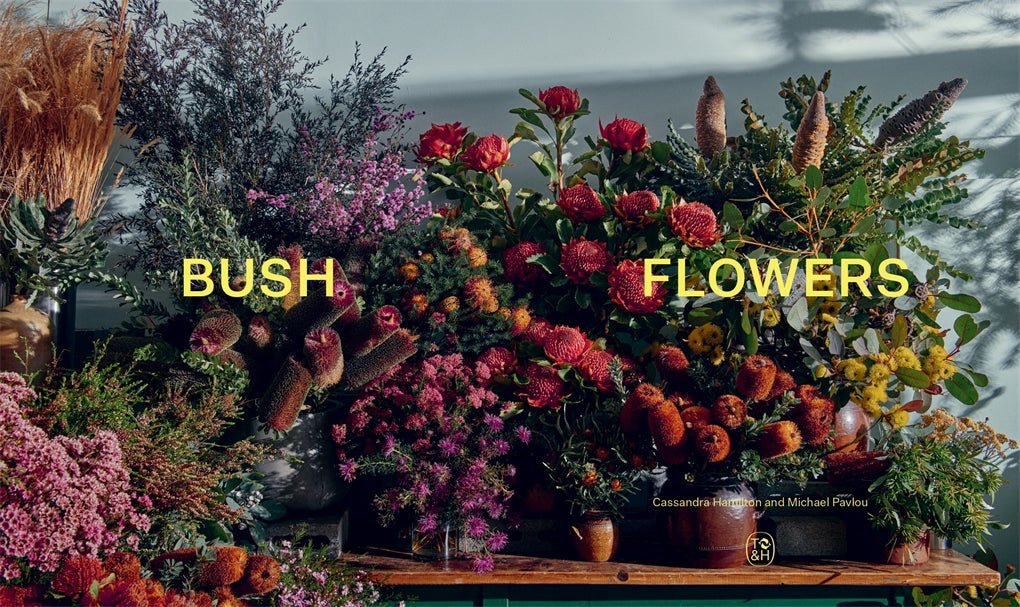 BUSH FLOWERS | Australian flowers and foliage for decoration and design