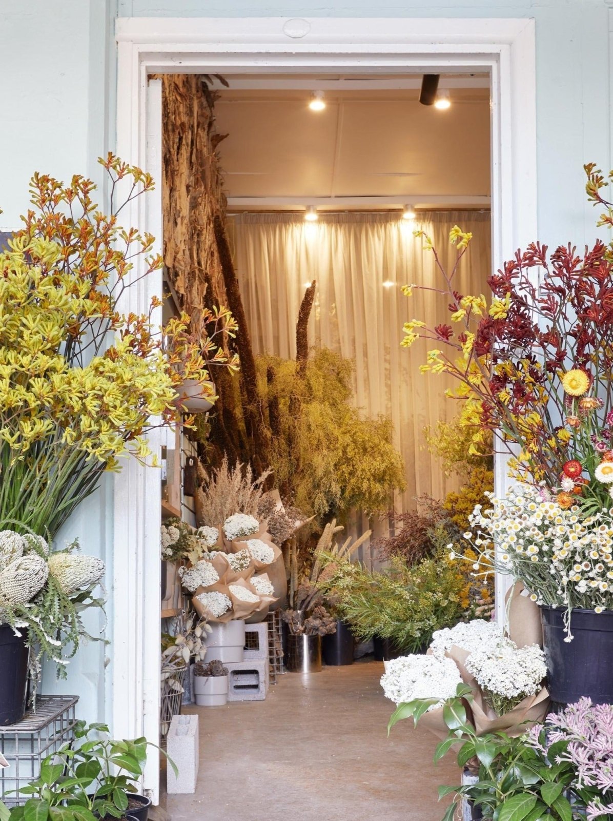 Bush Flowers Gift Voucher