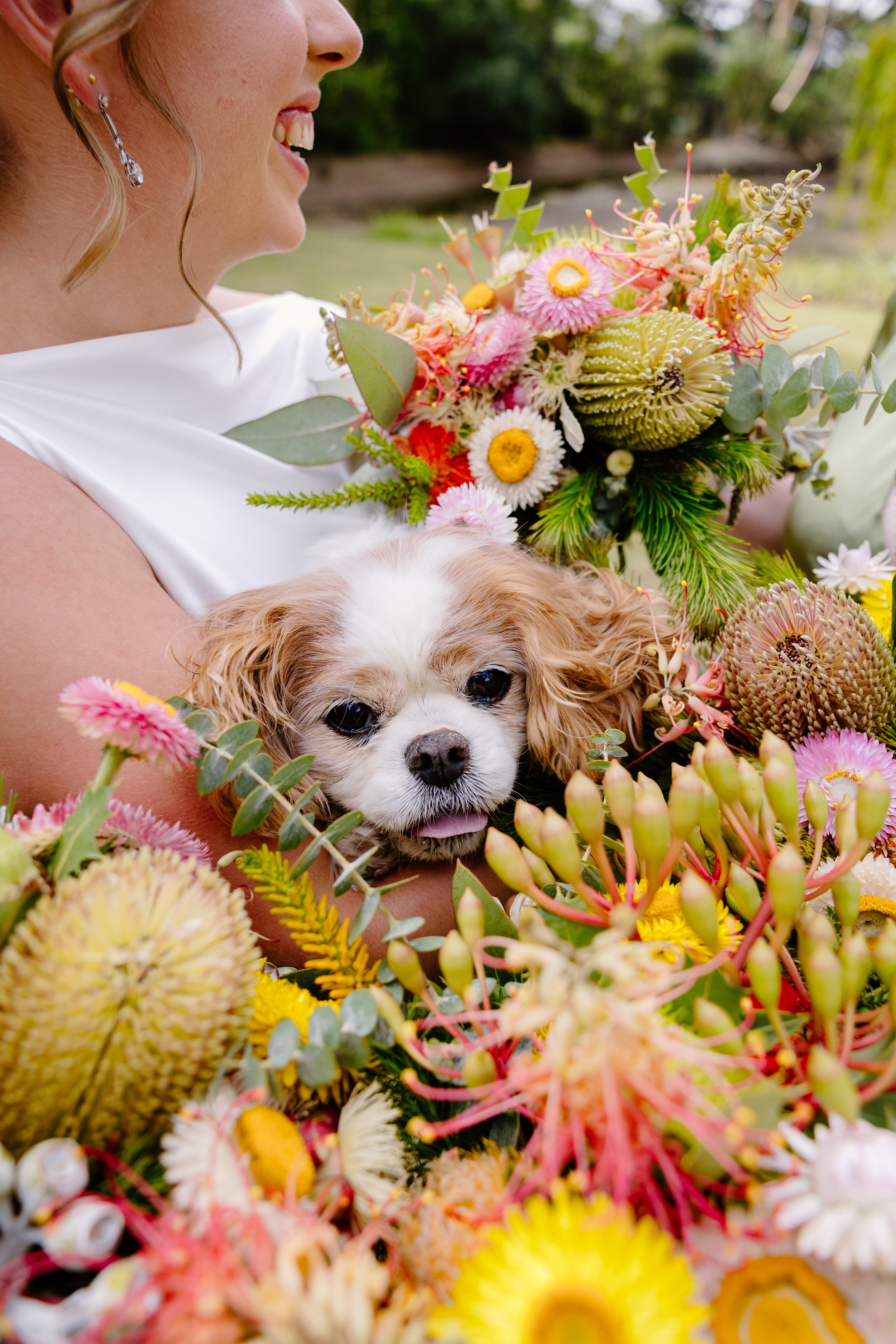 Bride with a dog peeking out from a bouquet of flowers in an outdoor setting