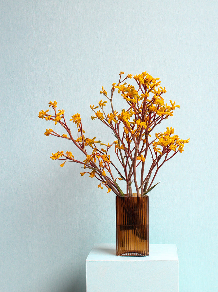 One bunch of yellow kangaroo paw, in a brown ribbed vase by Marmoset Found. The vase is placed on a pale blue plinth in front of a wall that is the same colour.